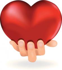 hand holding heart, organ donor.jpg